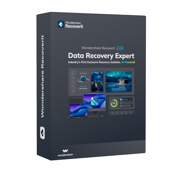 Wondershare Recoverit Data Recovery Expert for Windows Individual (Digital Annual License)